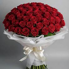 Букет 101 Красная роза Блэк Мэджик в Дмитриевской