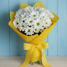 Букет цветов из:  Хризантемы в Дмитриевской