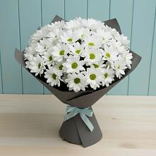 Букет цветов из:  Хризантемы в Дмитриевской