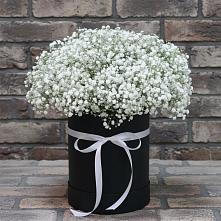 Цветочная композиция из Гипсофила в шляпной коробке в Дмитриевской