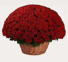 Премиум букет из: Розы в Дмитриевской