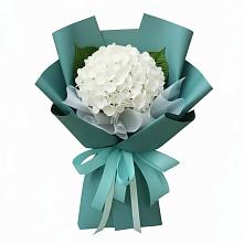 Букет цветов из:  Гортензия в Дмитриевской